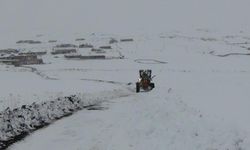 Yoğun kar 320 yolu ulaşıma kapattı