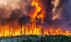Orman yangınlarıyla mücadelede ‘yapay zeka’ dönemi