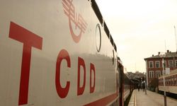 TCDD otlarla mücadele kapsamında tren yollarında ilaçlama yapacak