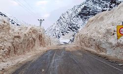 Van'da mahalle yoluna çığ düştü