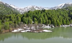 Borçka Karagöl Tabiat Parkı'na 1 milyonu aşkın ziyaretçinin gelmesi hedefleniyor