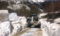Hakkari'de 23 Nisan'da 3 metrelik karla mücadele