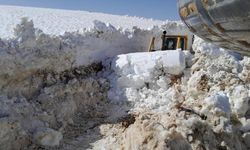 Hakkari'de 5 metrelik karla mücadele nisan ayında da sürüyor
