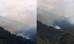 Antalya Kemer’de orman yangını çıktı