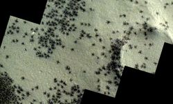 Mars zemininde örümceğe benzeyen madde toplulukları gözlemlendi