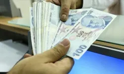 Ulusal Vefa Programı'na bu yıl için 3,8 milyar lira kaynak ayrıldı