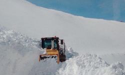 Van'da çalışma yürütülen mezra yoluna çığ düştü