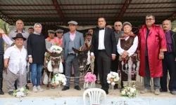 Antalya'da eşekler dünya evine girdi: Düğünde altın takıldı