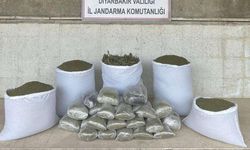Diyarbakır'da 173 kilogram uyuşturucu madde ele geçirildi