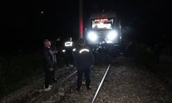 Malatya'da trenin çarptığı otomobilin sürücüsü hayatını kaybetti
