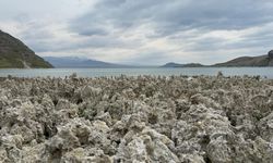 Van Gölü çekilince mikrobiyalitler gün yüzüne çıktı