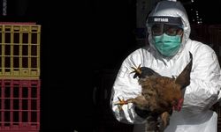 DSÖ'den A(H5N2) uyarısı! Kuş gribinden ilk ölüm yaşandı