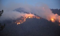 Denizli'de dün başlayan orman yangını kontrol altına alındı