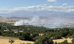 Elazığ'da yangında 45 dönüm ormanlık alan zarar gördü