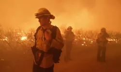 Los Angeles'ta çıkan orman yangınında bin 200 kişi tahliye edildi