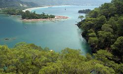 Çevreyi korumaya 2024'te 441 milyar lira harcandı