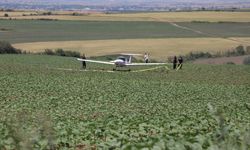 Tekirdağ'da eğitim uçağı tarlaya zorunlu iniş yaptı