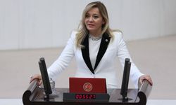 İYİ Parti’li Aylin Cesur partisinden istifa etti