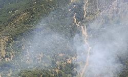 Balıkesir'in İvrindi ilçesinde orman yangını çıktı