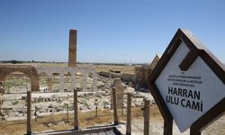 Restorasyonu tamamlanan tarihi Harran Ulu Cami ziyarete açıldı