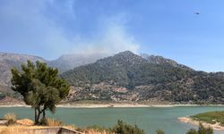 Muğla'nın Milas ilçesinde çıkan orman yangını kontrol altına alındı