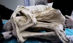 Peru’daki ‘Uzaylı Mumya’ iddiasında yeni gelişme
