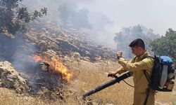 Kırklareli'nde çıkan yangın söndürüldü