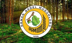 OGM'de iki bölge müdürü görevden alındı