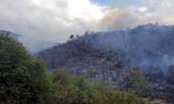 Tokat'ta ormanlık alanda yangın