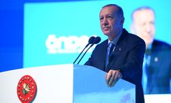 Cumhurbaşkanı Erdoğan: Bu kılıçları kime çekiyorsunuz?