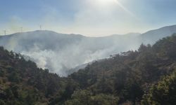 Hatay Antakya'da çıkan orman yangını kontrol altına alındı