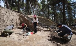 Yumuktepe Höyüğü'nde 9 bin yıllık geçmişe sahip iki buğday türü tespit edildi