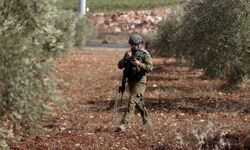 İşgalci İsrailliler, Batı Şeria'da yaklaşık 400 zeytin ağacını kesti