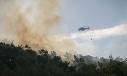 İzmir'de çöplükte çıkan yangın ormana sıçradı