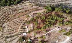 Asarcık Tepe kazılarında Selçuklu dönemine ait yapılar bulundu