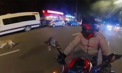 Başıboş köpekler motosikletliye saldırıp ısırdı