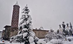 Erzurum buz kesti: Türkiye’nin en soğuk yerinde termometreler -17,6'yı gösterdi