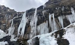 Hakkari’de Orşe Şelalesi dondu