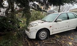 İstanbul'da sağanak ve rüzgar hayatı olumsuz etkiledi