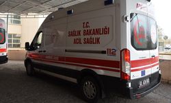 Şanlıurfa'da devrilen otomobildeki baba ile oğlu öldü, anne yaralandı