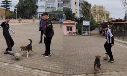 Adana’da gülümseten görüntüler: Okul bahçesine giren köpek öğrencilerle maç yaptı