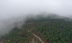 Doğanın Kalbi Kazdağları dronla görüntülendi