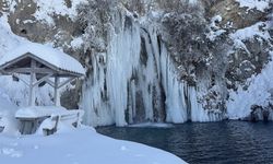 Bayburt'ta Sırakayalar Şelalesi dondu