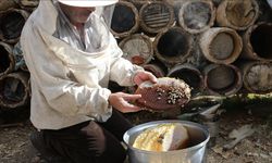 Bitlis’in yöresel lezzeti artık resmen tanındı