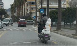 Görenler şaşkına döndü: Kardan adam trafikte