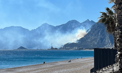 Antalya'da ormanlık alanda yangın çıktı