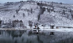 Kuş cenneti Efteni Gölü'nde kış manzaraları oluştu