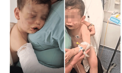 Denizli’de dehşet! 2 yaşındaki bebeğe vahşeti yaşattılar