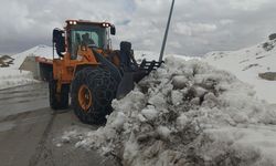 Kar kaplanlarının mesaisi nisanda da sürüyor
