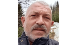Kestiği ağaç canını aldı